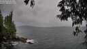 ./images/koeye/fitz-hugh/20250524/fitz-hugh20250524_094011M.jpg