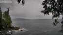 ./images/koeye/fitz-hugh/20250524/fitz-hugh20250524_095009M.jpg