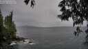 ./images/koeye/fitz-hugh/20250524/fitz-hugh20250524_095509M.jpg
