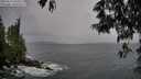 ./images/koeye/fitz-hugh/20250524/fitz-hugh20250524_100011M.jpg