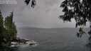./images/koeye/fitz-hugh/20250524/fitz-hugh20250524_100508M.jpg