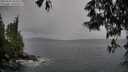 ./images/koeye/fitz-hugh/20250524/fitz-hugh20250524_104509M.jpg