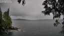 ./images/koeye/fitz-hugh/20250524/fitz-hugh20250524_110509M.jpg