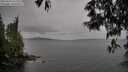 ./images/koeye/fitz-hugh/20250524/fitz-hugh20250524_111510M.jpg