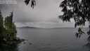 ./images/koeye/fitz-hugh/20250524/fitz-hugh20250524_112510M.jpg