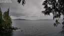 ./images/koeye/fitz-hugh/20250524/fitz-hugh20250524_114511M.jpg