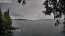 ./images/koeye/fitz-hugh/20250524/fitz-hugh20250524_115509M.jpg