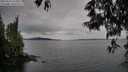 ./images/koeye/fitz-hugh/20250524/fitz-hugh20250524_120011M.jpg