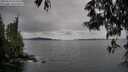 ./images/koeye/fitz-hugh/20250524/fitz-hugh20250524_120510M.jpg