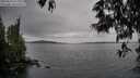 ./images/koeye/fitz-hugh/20250524/fitz-hugh20250524_121011M.jpg