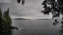 ./images/koeye/fitz-hugh/20250524/fitz-hugh20250524_121510M.jpg