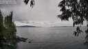 ./images/koeye/fitz-hugh/20250524/fitz-hugh20250524_123508M.jpg