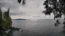 ./images/koeye/fitz-hugh/20250524/fitz-hugh20250524_124010M.jpg