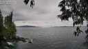 ./images/koeye/fitz-hugh/20250524/fitz-hugh20250524_124510M.jpg