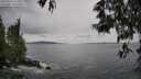 ./images/koeye/fitz-hugh/20250524/fitz-hugh20250524_125010M.jpg