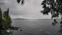 ./images/koeye/fitz-hugh/20250524/fitz-hugh20250524_125510M.jpg