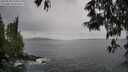 ./images/koeye/fitz-hugh/20250524/fitz-hugh20250524_130011M.jpg