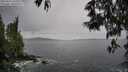 ./images/koeye/fitz-hugh/20250524/fitz-hugh20250524_131009M.jpg