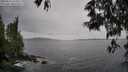 ./images/koeye/fitz-hugh/20250524/fitz-hugh20250524_132011M.jpg