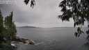 ./images/koeye/fitz-hugh/20250524/fitz-hugh20250524_132510M.jpg