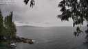 ./images/koeye/fitz-hugh/20250524/fitz-hugh20250524_133510M.jpg