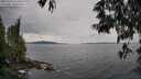 ./images/koeye/fitz-hugh/20250524/fitz-hugh20250524_134010M.jpg