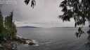 ./images/koeye/fitz-hugh/20250524/fitz-hugh20250524_135509M.jpg