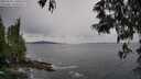./images/koeye/fitz-hugh/20250524/fitz-hugh20250524_140509M.jpg