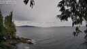 ./images/koeye/fitz-hugh/20250524/fitz-hugh20250524_141009M.jpg