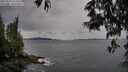 ./images/koeye/fitz-hugh/20250524/fitz-hugh20250524_142510M.jpg
