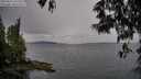 ./images/koeye/fitz-hugh/20250524/fitz-hugh20250524_143509M.jpg