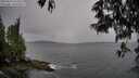 ./images/koeye/fitz-hugh/20250524/fitz-hugh20250524_144510M.jpg