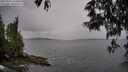 ./images/koeye/fitz-hugh/20250524/fitz-hugh20250524_150011M.jpg
