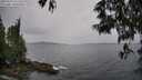 ./images/koeye/fitz-hugh/20250524/fitz-hugh20250524_151509M.jpg