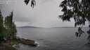 ./images/koeye/fitz-hugh/20250524/fitz-hugh20250524_152509M.jpg