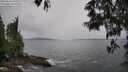 ./images/koeye/fitz-hugh/20250524/fitz-hugh20250524_154511M.jpg