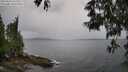 ./images/koeye/fitz-hugh/20250524/fitz-hugh20250524_155509M.jpg