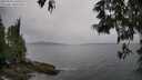 ./images/koeye/fitz-hugh/20250524/fitz-hugh20250524_160510M.jpg