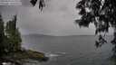 ./images/koeye/fitz-hugh/20250524/fitz-hugh20250524_162510M.jpg