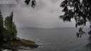 ./images/koeye/fitz-hugh/20250524/fitz-hugh20250524_163509M.jpg
