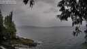 ./images/koeye/fitz-hugh/20250524/fitz-hugh20250524_164510M.jpg