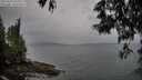 ./images/koeye/fitz-hugh/20250524/fitz-hugh20250524_165011M.jpg