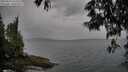 ./images/koeye/fitz-hugh/20250524/fitz-hugh20250524_165507M.jpg