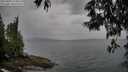 ./images/koeye/fitz-hugh/20250524/fitz-hugh20250524_170012M.jpg