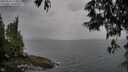 ./images/koeye/fitz-hugh/20250524/fitz-hugh20250524_173011M.jpg