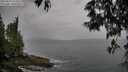 ./images/koeye/fitz-hugh/20250524/fitz-hugh20250524_174511M.jpg
