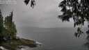 ./images/koeye/fitz-hugh/20250524/fitz-hugh20250524_175011M.jpg
