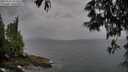 ./images/koeye/fitz-hugh/20250524/fitz-hugh20250524_182509M.jpg