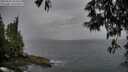 ./images/koeye/fitz-hugh/20250524/fitz-hugh20250524_185010M.jpg