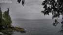 ./images/koeye/fitz-hugh/20250524/fitz-hugh20250524_190008M.jpg